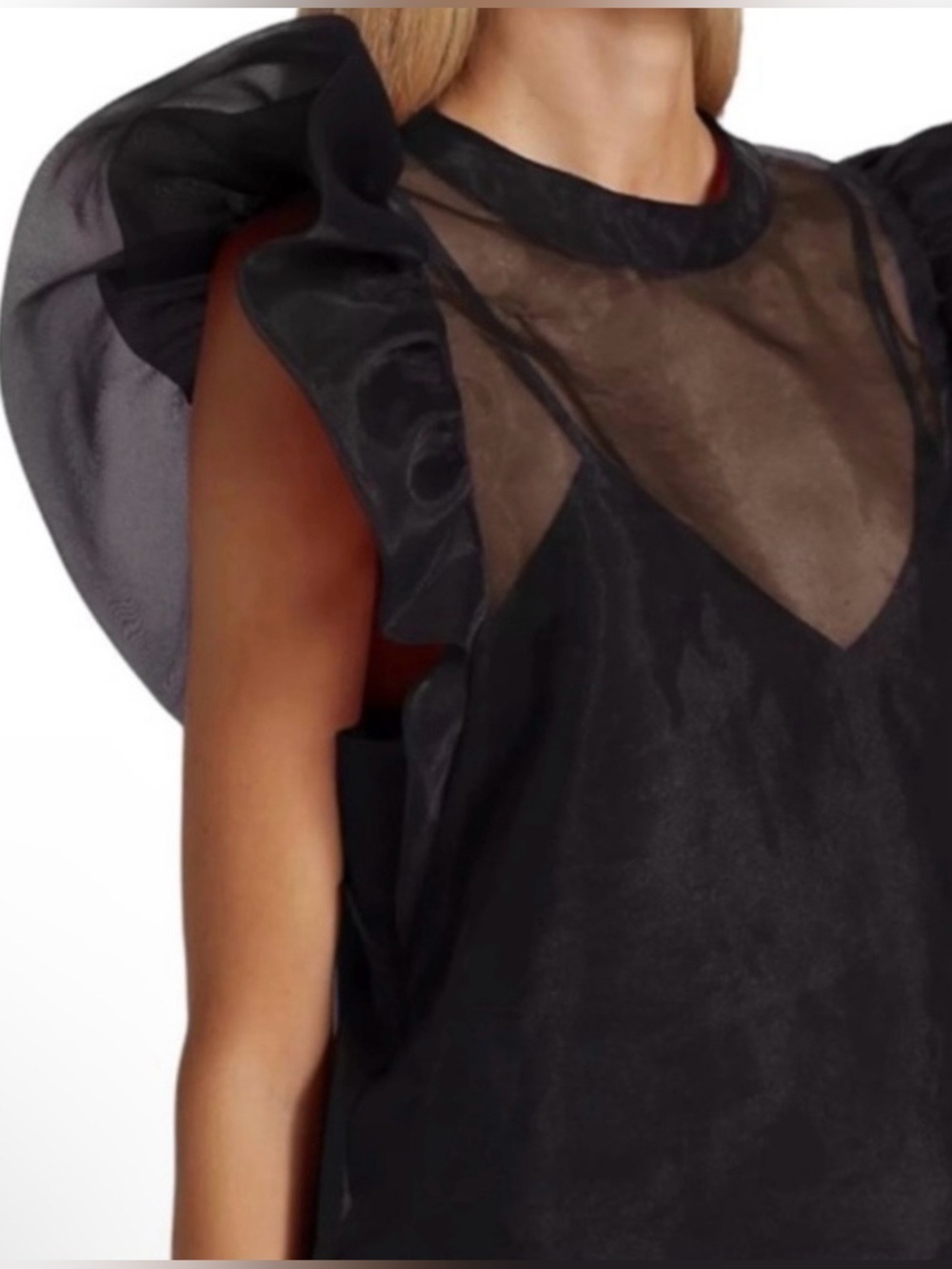 NWT Joie Sheer Organza Blouse, Black